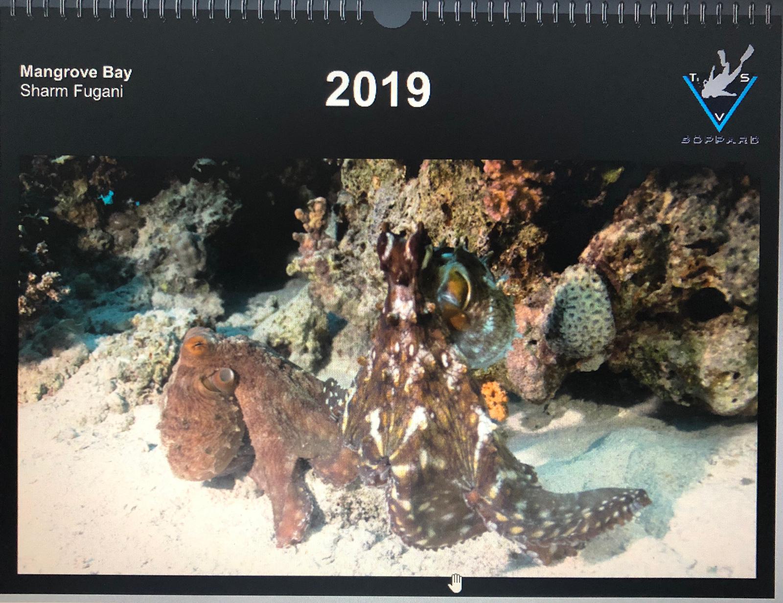 Kalenderdeckblatt 2019 Kalenderdeckblatt 2019